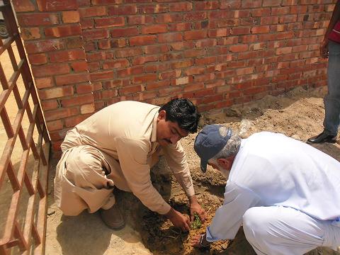 Plantation on World Environment Day 2014 at Noor Village - Pakistan Medical Association